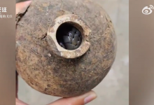 居民酒瓶中砸出过冬眼镜蛇 当事人：第一次见 已放归山林-融党建互动平台