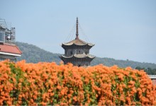 2026年立春是几月几日几点几分 今年打春具体时间-融党建互动平台