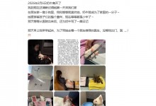 孙俪家小狗“奶牛”去世 女儿小花痛哭-融党建互动平台